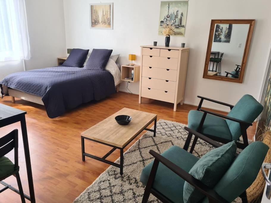 Studio Avec Terrasse Et Place De Parking 圖盧茲 外观 照片